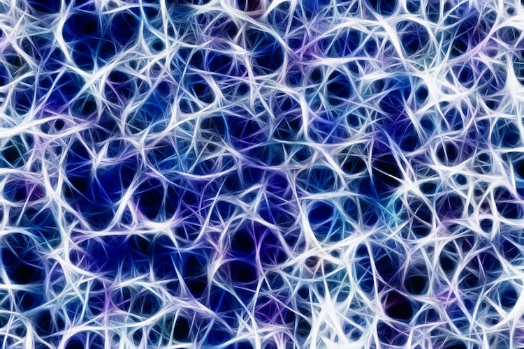 7 Interesting facts about the human brain