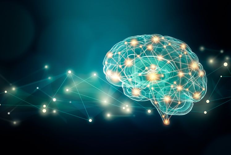 All you need to know about the Capacity of your Brain