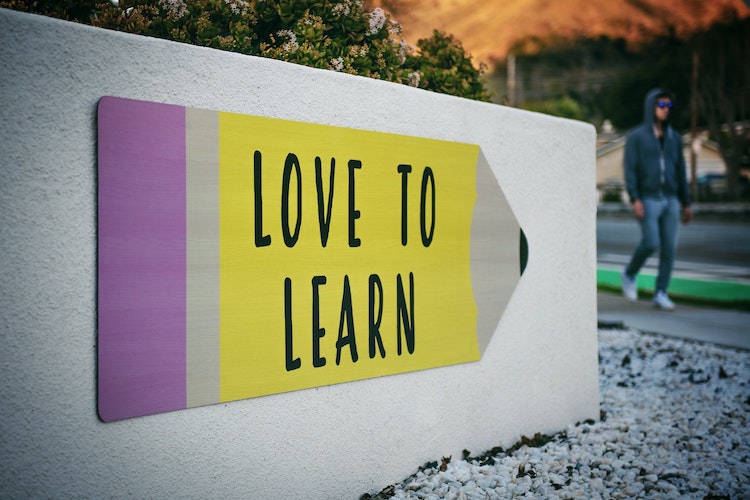 14 learning techniques everyone should know!