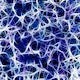 7 Interesting facts about the human brain