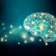 All you need to know about the Capacity of your Brain