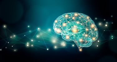 All you need to know about the Capacity of your Brain