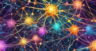 Brain and Neuroscience: Unlocking the Mysteries of Cognitive Function