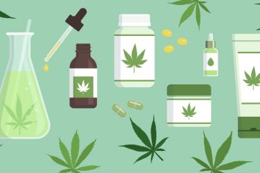 Cannabis CBD Health Benefits: Evidence-Based Insights for Wellness