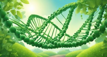 Genetics vs. Environment in Mental Health: Understanding the Influences on Psychological Wellbeing