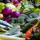 Superfood for learning
