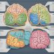 The Different Types of Memory: Understanding Short-Term, Long-Term, and Working Memory