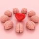 The Neuroscience of Love: Understanding Brain Activity When We Fall for Someone