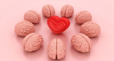 The Neuroscience of Love: Understanding Brain Activity When We Fall for Someone